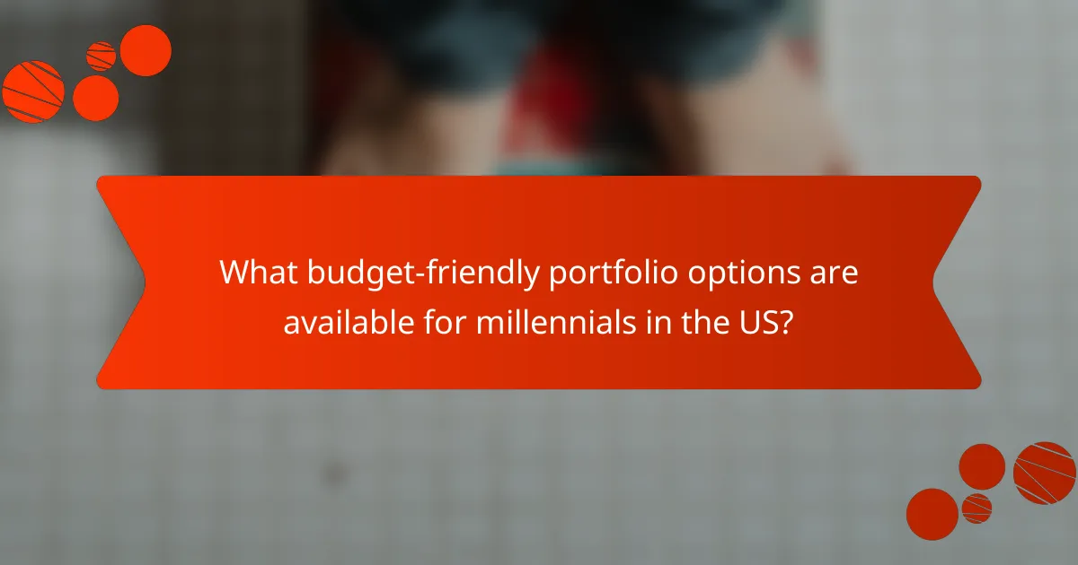 What budget-friendly portfolio options are available for millennials in the US?